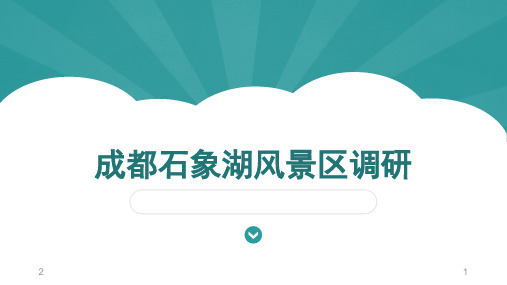 石象湖调研分析-文档资料