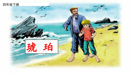 四年级下册《琥珀》课件   完美版