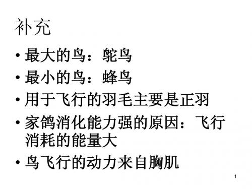 第七节哺乳动物(修改版)