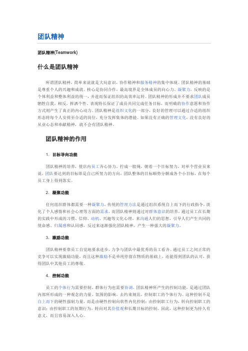 什么是团队精神