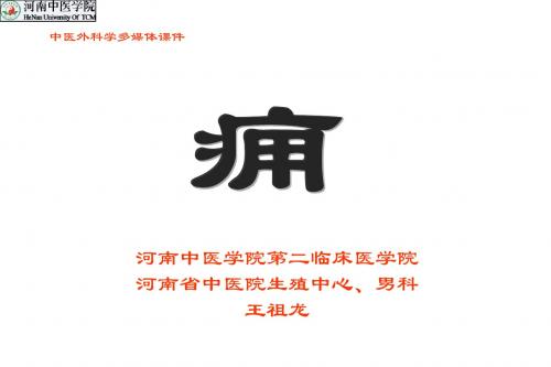 中医外科学痈PPT