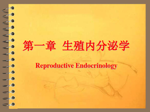 兽医产科学之生殖内分泌