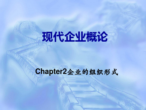 企业的组织形式概述(PPT 71张)