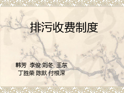 排污收费制度