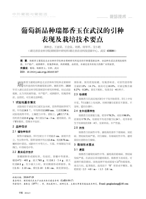 葡萄新品种瑞都香玉在武汉的引种表现及栽培技术要点
