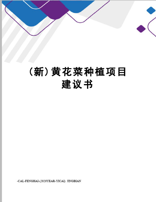 (新)黄花菜种植项目建议书