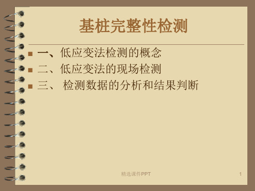 低应变检测图解ppt课件