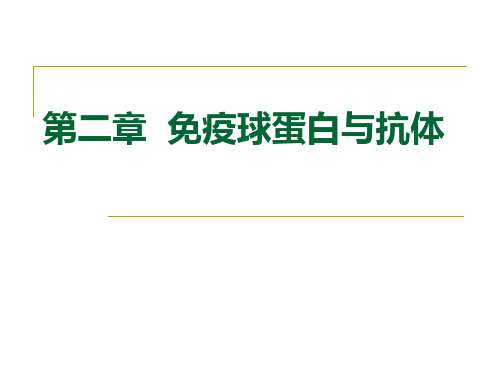 免疫球蛋白与抗体