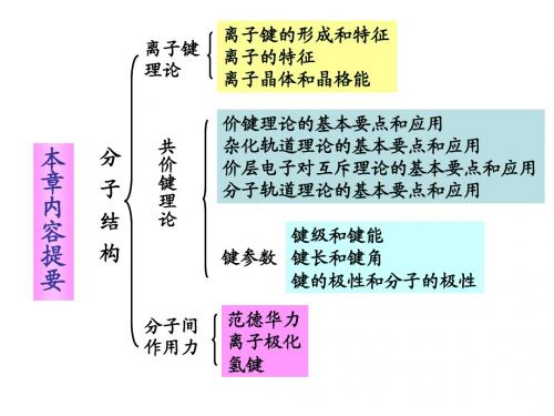 分子结构