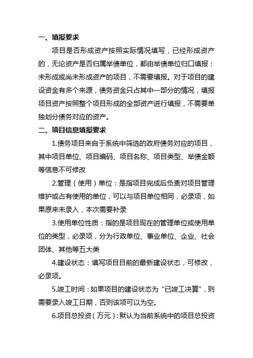 政府债务资产清查登记填报要求