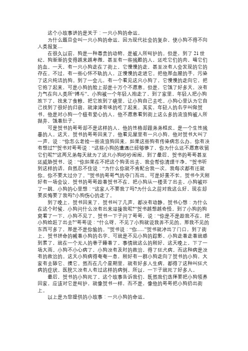 故事精选一只小狗的命运