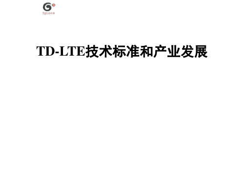 01TDLTE技术标准和产业发展