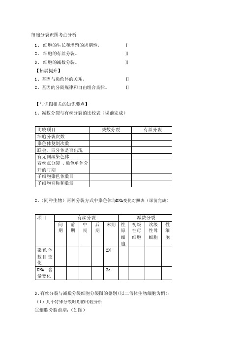 细胞分裂图解