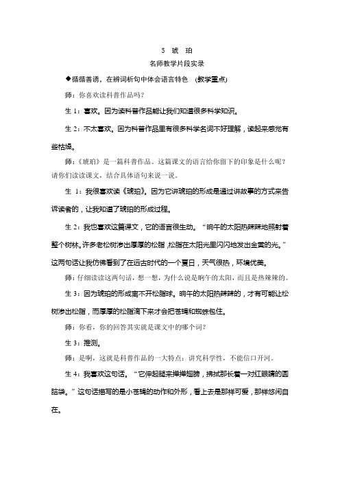 部编版小学语文四年级下册5《琥珀》教学实录