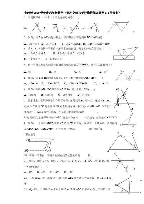 鲁教版2019学年度六年级数学下册相交线与平行线培优训练题3(附答案)