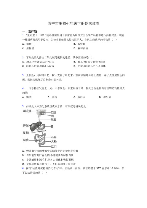 西宁市生物七年级下册期末试卷