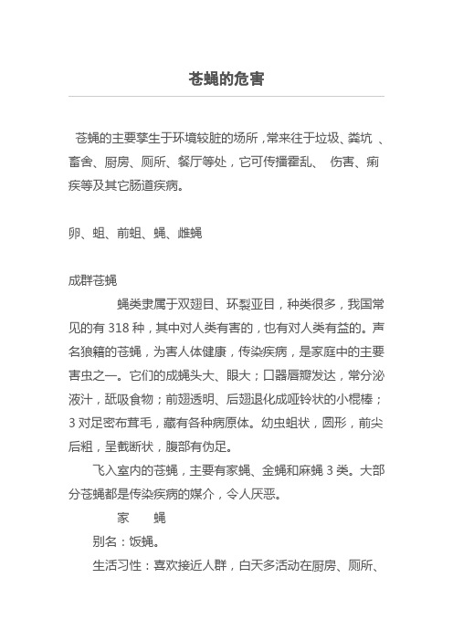 苍蝇的危害