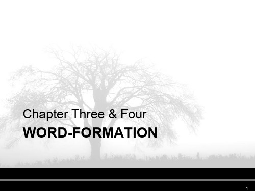 英语词汇学chapter3-4 word-formation