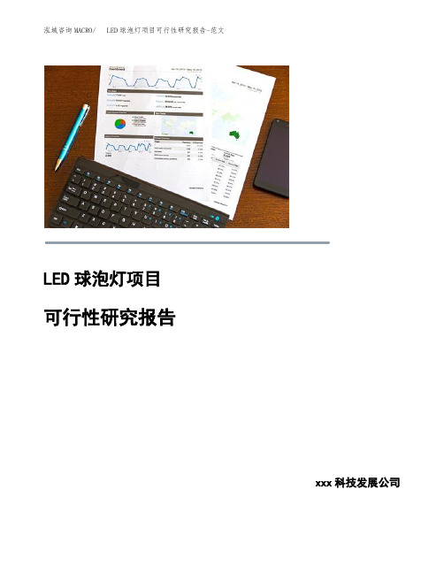 LED球泡灯项目可行性研究报告-范文
