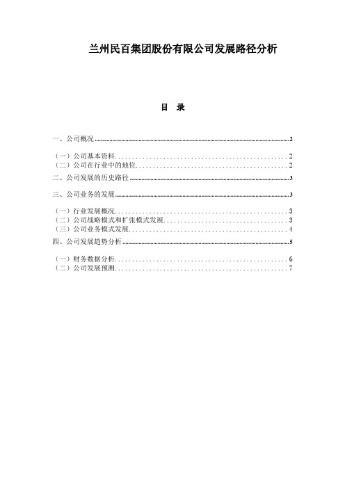 兰州民百集团股份有限公司发展路径分析