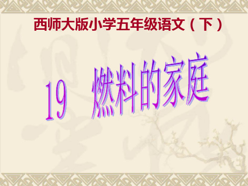 《燃料的家庭》课件