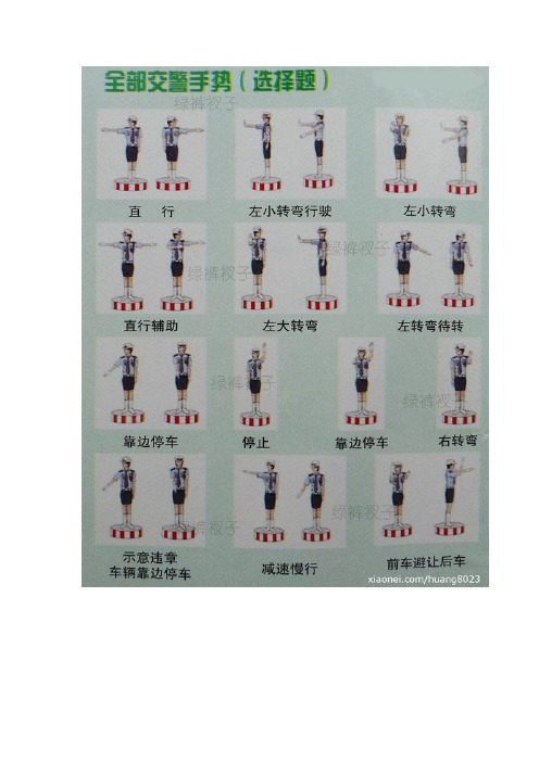 驾照理论