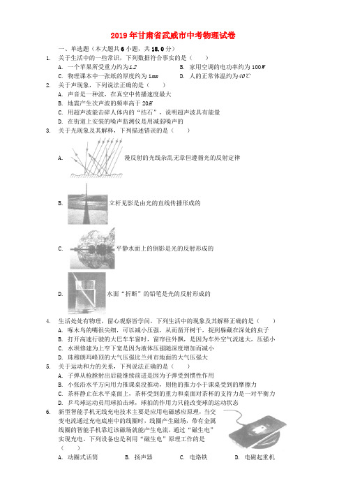 【推荐】甘肃省武威市2019年中考物理真题试题(含解析)