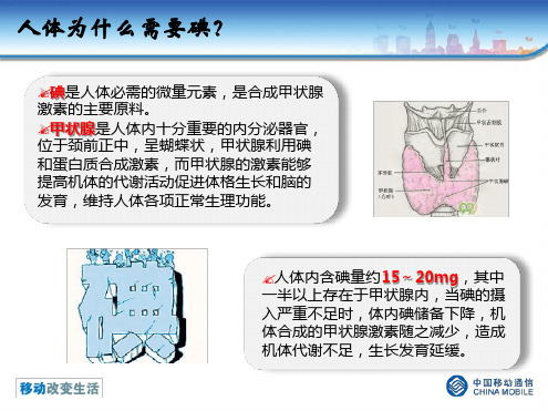 科学补碘健康相伴
