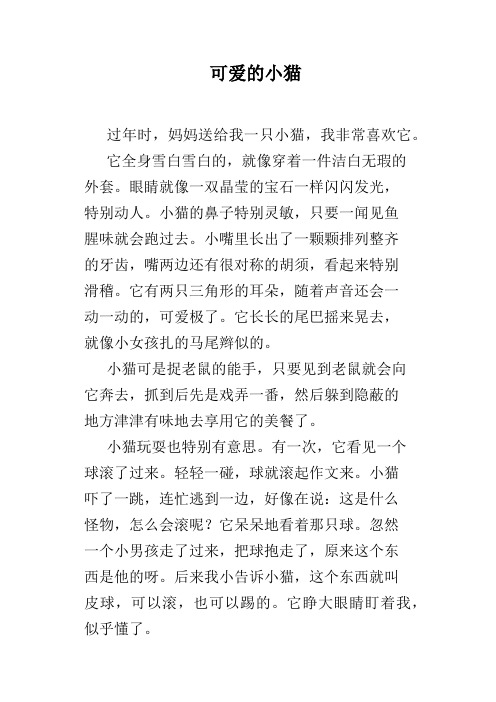可爱的小猫
