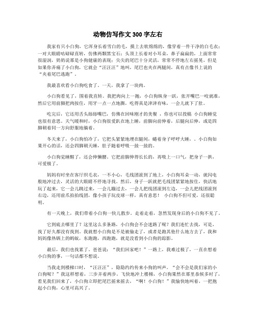 动物仿写作文300字左右