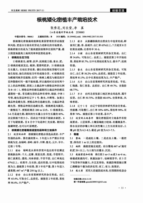 核桃矮化密植丰产栽培技术