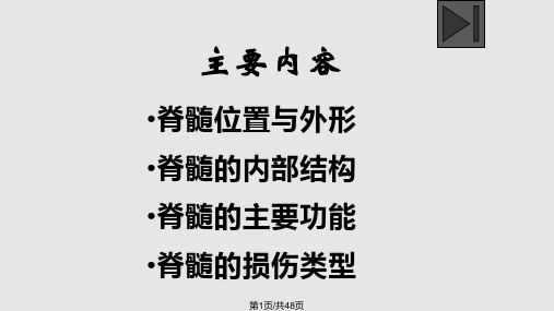 脊髓系统解剖学PPT课件