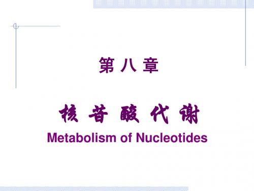 核 苷 酸 代 谢