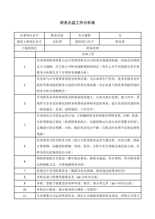 财务总监工作分析表