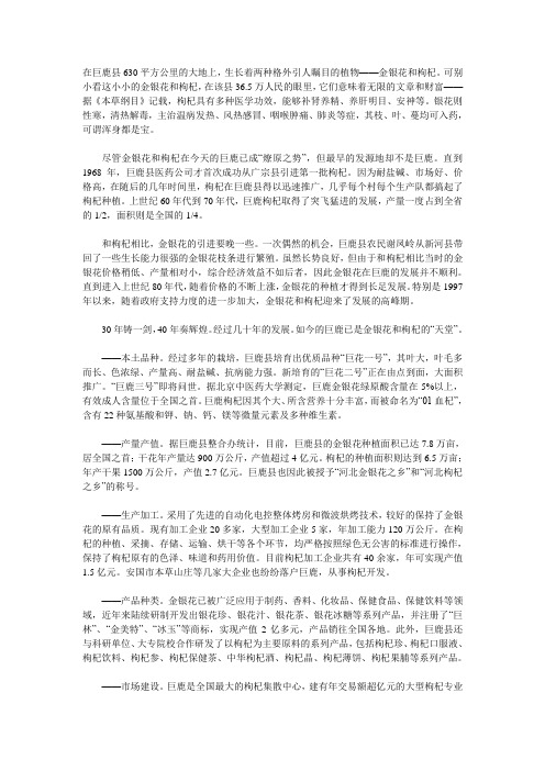河北巨鹿县中药材及其深加工产业蓬勃发展