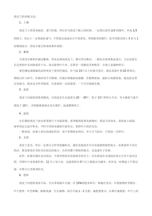 虎皮兰的养殖方法