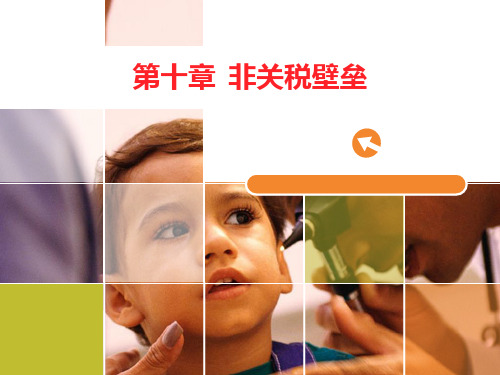 国贸第10章课件