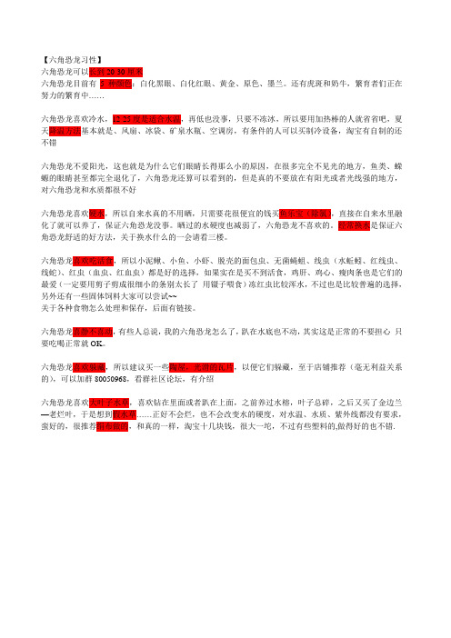 六角恐龙注意事项
