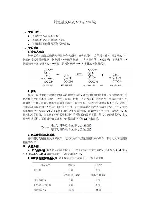 转氨基反应及GPT活性测定