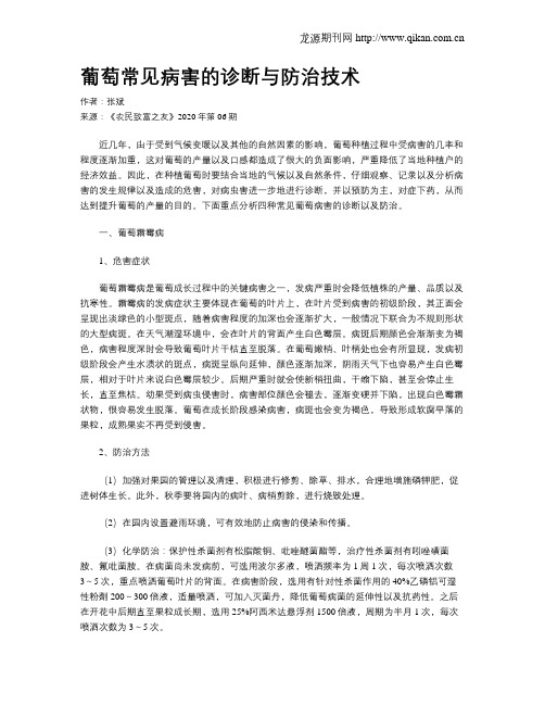 葡萄常见病害的诊断与防治技术
