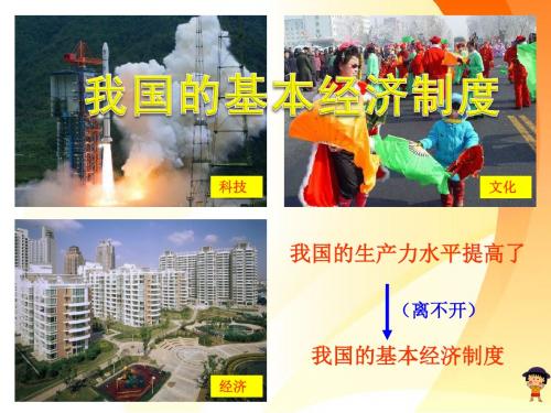 基本经济制度上课用