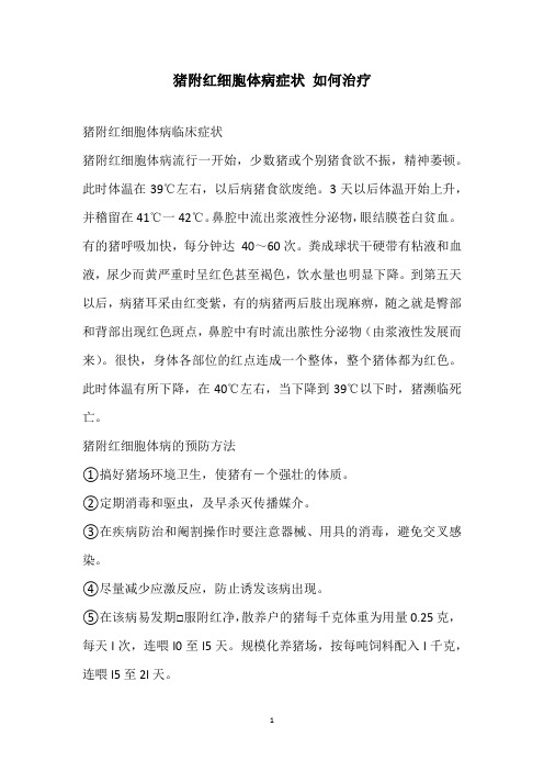 猪附红细胞体病症状 如何治疗