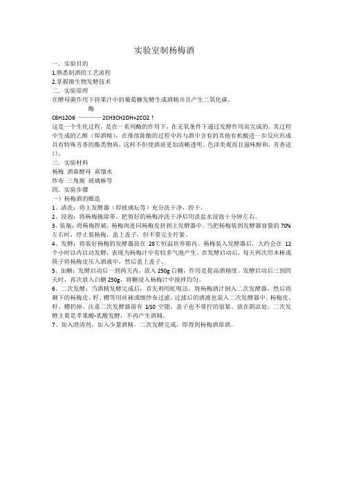 微生物设计实验 杨梅酒的制作