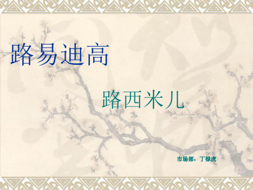 招商流程MicrosoftPowerPoint演示文稿ppt课件