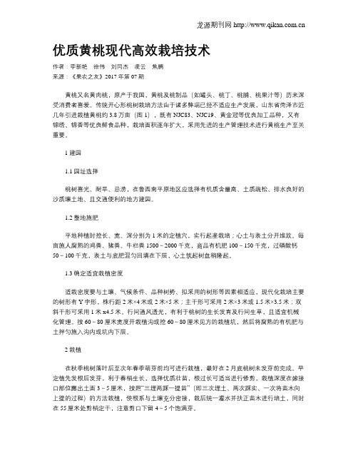 优质黄桃现代高效栽培技术