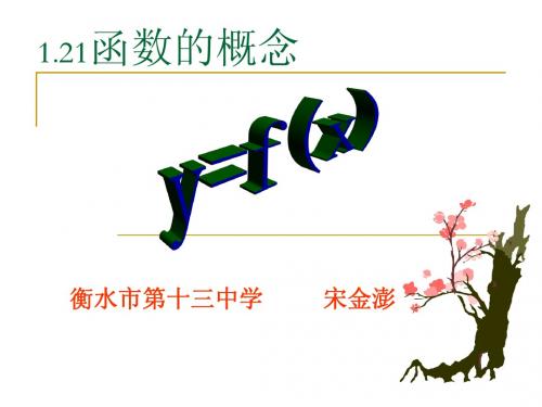 数学：1.2.1《函数的概念》课件(1)(新人教A版必修1)
