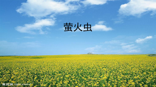 小学音乐 萤火虫【课件设计】优质课PPT