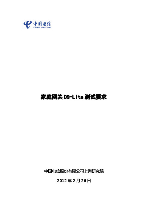 家庭网关DS-Lite测试要求
