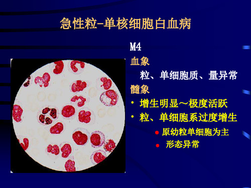 骨髓病理