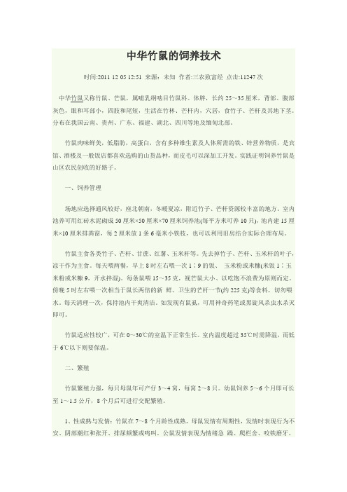 中华竹鼠的饲养技术